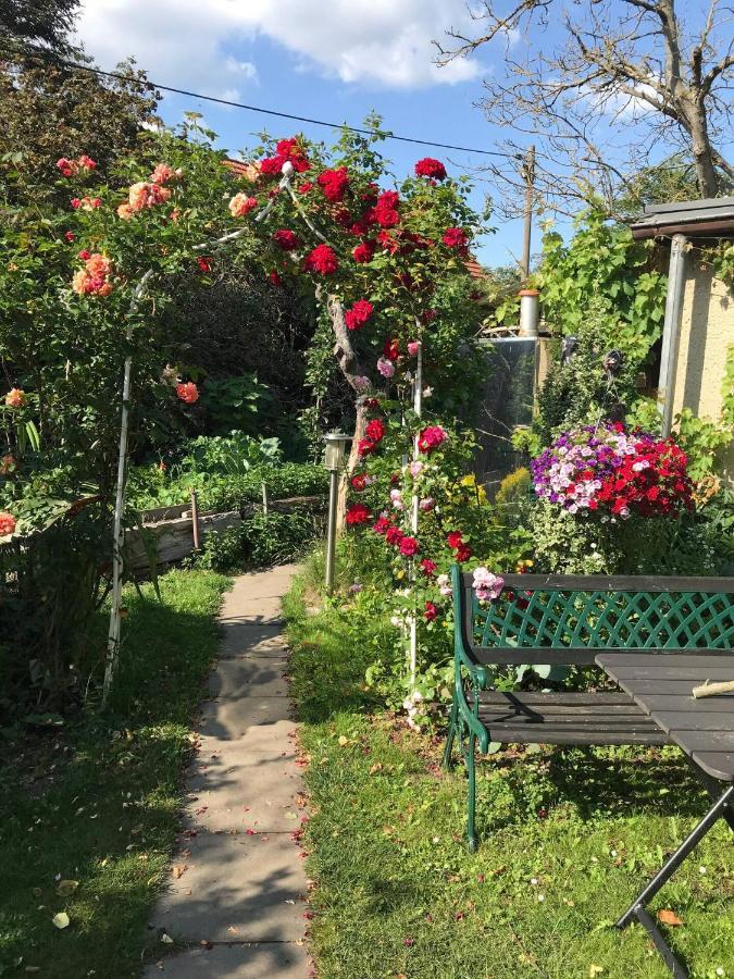 Wohnen Im Eulengarten Oranienburg Eksteriør billede